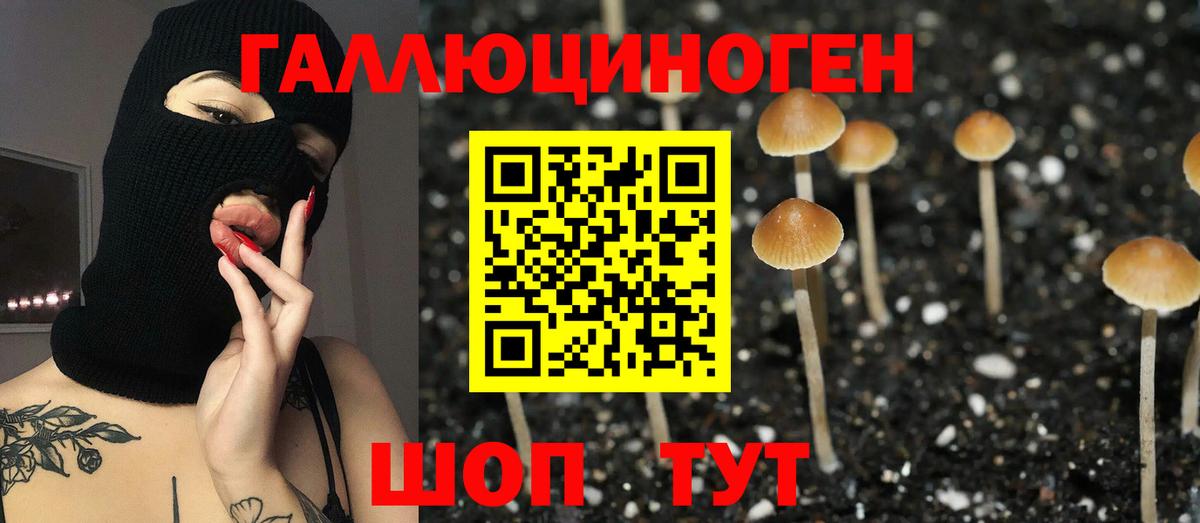 Псилоцибиновые грибы Psilocybine cubensis  Галлюциногенные грибы мицелий  Великий Устюг  Вход с VPN 